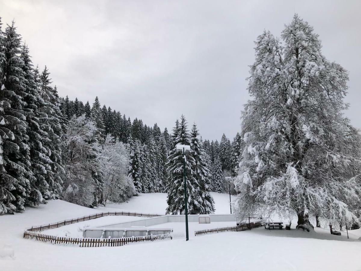 Villa Urlaubsalm Kreuth 6 Liebenfels Exterior foto